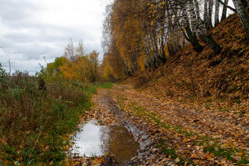 Puddle on a dirt road autumn. Fallen leaves, slush, mud.