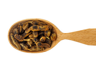 Fruit of Styphnolobium japonicum in a wooden spoon on a white background