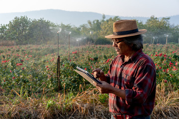 Senior Asian Farmer Holding Tablet in Field.
