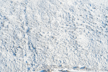 Background with a snowy surface with snow-covered vegetation taken from a height