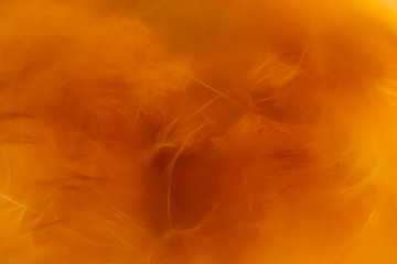 Blurred at high magnification abstract background from fur in orange colors