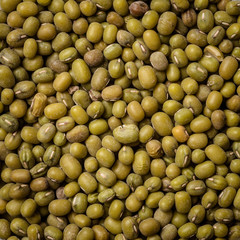 Green mung bean