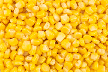 Canned corn background, preserved seeds of sweetcorn close up