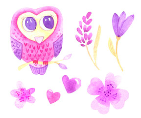 Set pink owl on a twig, flowers and hearts. Watercolor drawing. Hand drawn cute owl and decorative elements isolated on a white background