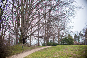Butiful park in Poland