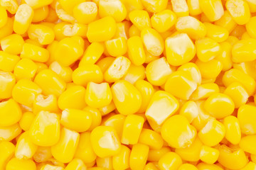 Canned yellow corn seeds