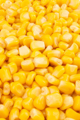 Sweet corn background