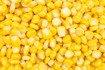 Canned corn texture