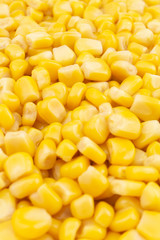 Canned sweet corn seeds close up