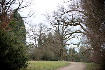 beautiful morning in  park