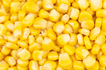 Canned corn background
