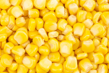Canned corn background, preserved seeds of sweetcorn close up