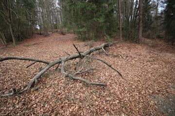Oberfranken in der Nähe von Obertrubach