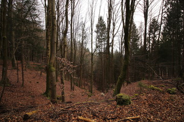 Oberfranken in der Nähe von Obertrubach