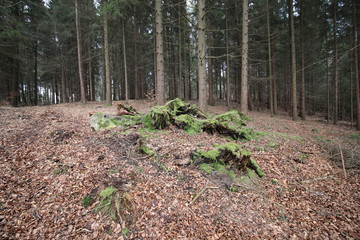 Oberfranken in der Nähe von Obertrubach