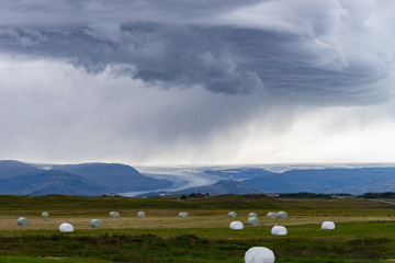 Bale of fodder grass wrapped in white plastic lying on the field in Iceland.