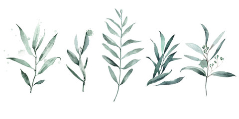 Obraz premium Set of green branch eucalyptus watercolor drops. Abstract watercolor for wedding design invitations.