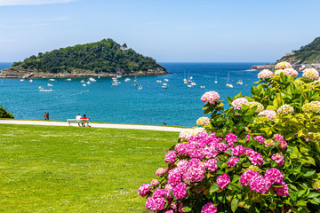 flowers on the beach