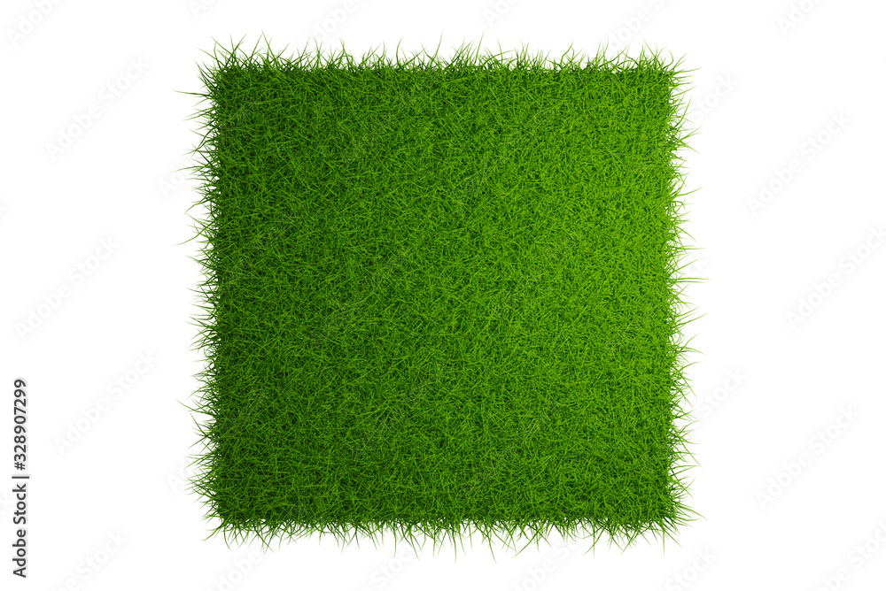 Poster top view grass field isolated on white background with clipping path