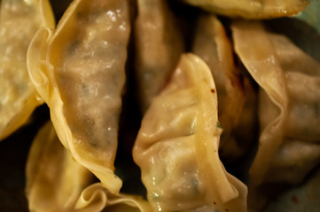 Extreme Close Up Dumplings