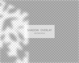 Shadow overlay effect. Natural shadows from window isolated on transparent background. Vector illustration. 