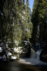 vue sur une cascade dans la foret Noire en Allemagne