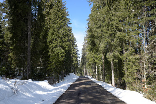 route au milieu de la foret noire en condition hivernale - Allemagne
