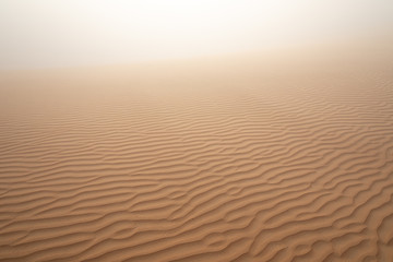 Abstract image of a patterned sand dune in dense fog on a winter morning. Liwa desert, Abu Dhabi, United Arab Emirates.