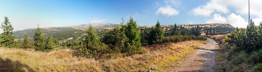Fototapeta na wymiar Panorama Elbwiesen