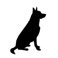 big dog sitting and begging from the side silhouette vector isolated on white background