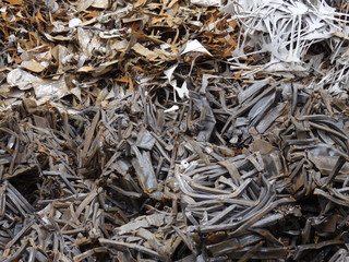 auf dem Schrottplatz