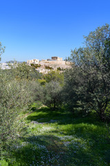 Parthenon temple and Acropolis hill view from Pnyx
