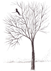 Bird and tree autumn, graphic black and white