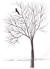 Fototapeta premium Bird and tree autumn, graphic black and white