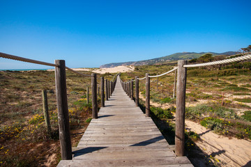 Fototapeta na wymiar Wooden pathway over the dunes
