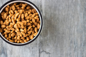 Dry cat food in a white bowl on gray background.