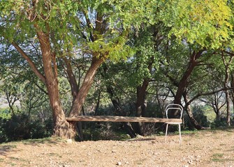 eine Sitzbank unter Bäumen im Schatten