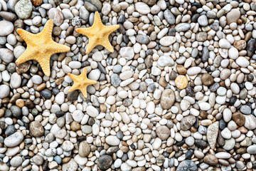 Starfish on the beach of stone pebbles