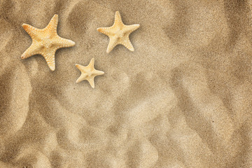 Fototapeta na wymiar Starfish in the beach sand