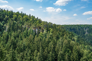 Bad Schandau in Bohemian Switzerland. Bastei bridge and mountain view. Narrow rock, natural sandstone arch in Europe..Hill scenery with greenery, blue sky and sunlight.