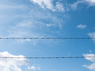 barbed wire and blue sky
