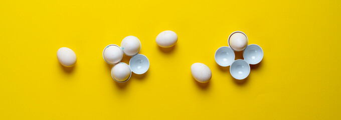 some white chicken eggs flat lay isolated on the colorful background wide long banner