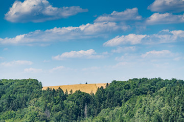 Fototapeta premium Bad Schandau in Bohemian Switzerland. Bastei bridge and mountain view. Narrow rock, natural sandstone arch in Europe..Hill scenery with greenery, blue sky and sunlight.