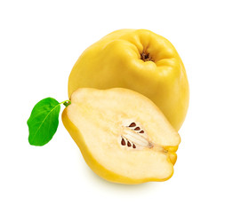 quince isolated. One quince fruit with leaves on a white background