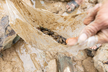 New HD pictures travel to Vietnam 2020