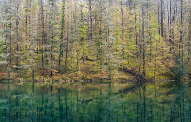 Trees are reflected in waters of Lake Domiko, Navarra