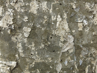 old concrete surface of the pillar with a lot of ads