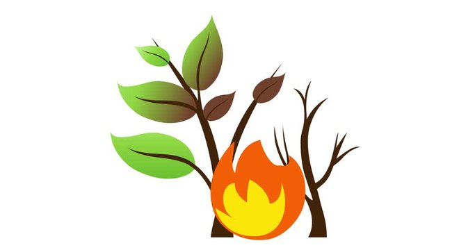 Plant fire Emoji, icon animation on white background