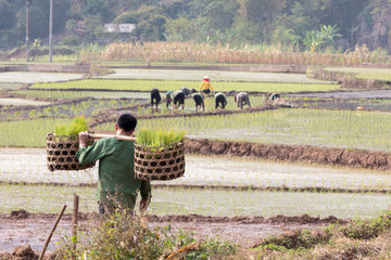 New HD pictures travel to Vietnam 2020