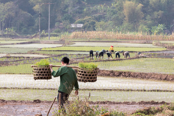 New HD pictures travel to Vietnam 2020